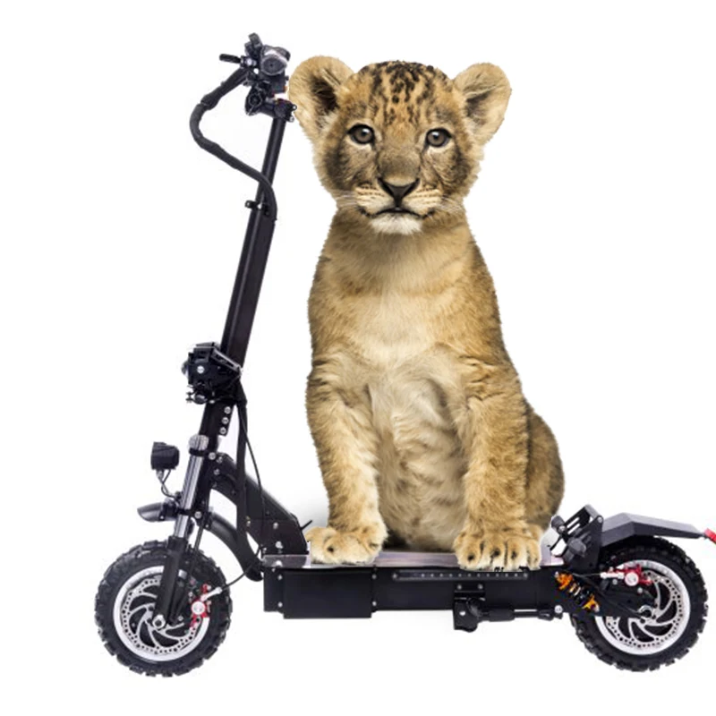 

high power off road fat tire scooter electric