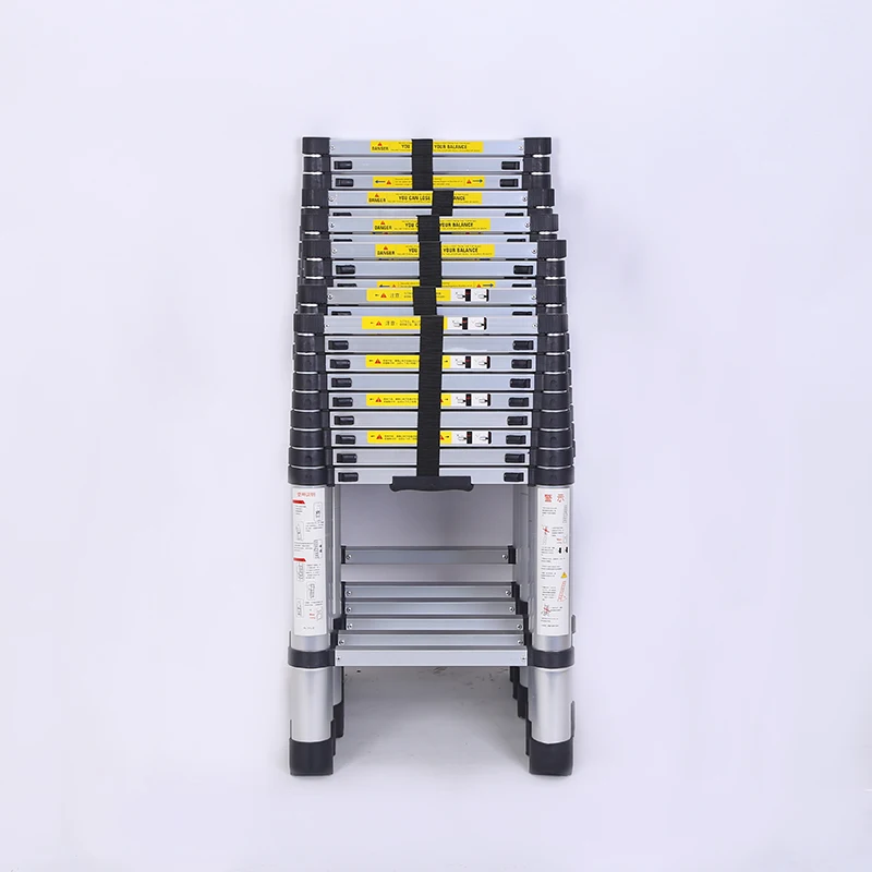 double telescopic ladder