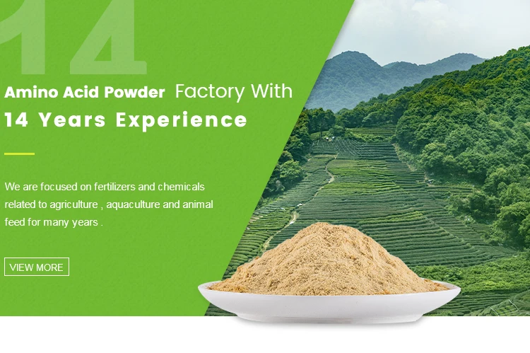 Amino-Acid-Powder (1)