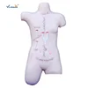 Simulation training model of surgical suture
