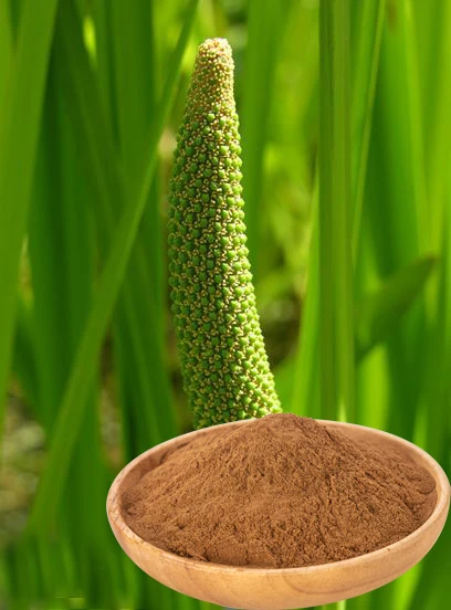 factory supply acorus calamus extract powder for promoting blood