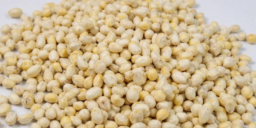 White Pepper Corn close-up