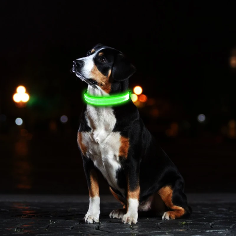 

Wholesale Good Quality Pet Supplies Electric Eco Friendly Diy Pet Usb Led Dog Collar, Picture shows