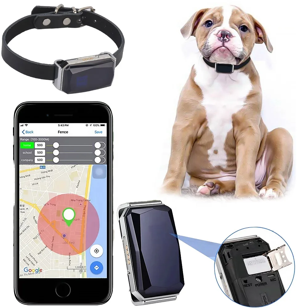 

Factory OEM waterproof pet GPS tracker G12P with free leather collar support APP+Web+SMS tracking system for dog/cat