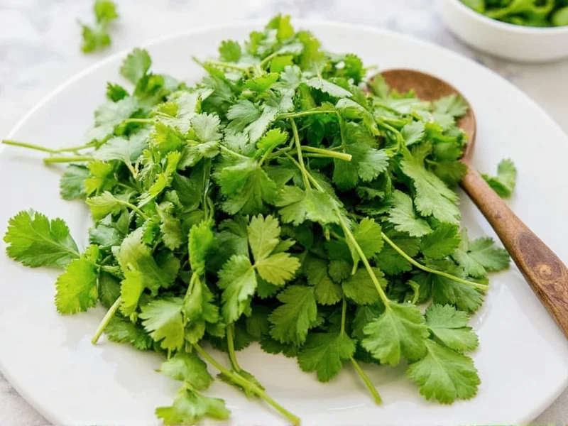 How to Dry Fresh Cilantro: 3 Best Methods