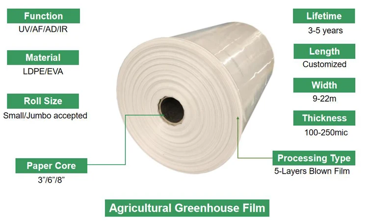 green house film 6mil greenhouse agriculture plastic factory plants covering