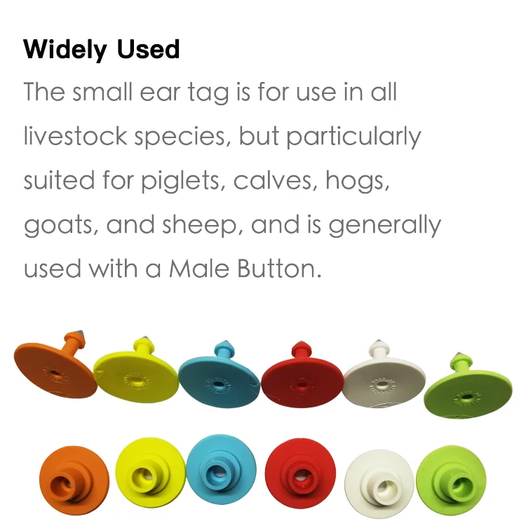 Blueworth small size round tpu plastic ear tags for pig and newborn