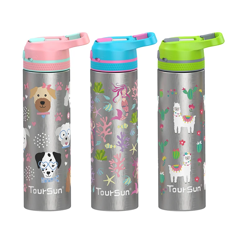 

520ml Double Wall Insulated Custom Logo Printed Stainless Steel Vacuum Flask Thermos Water Bottle