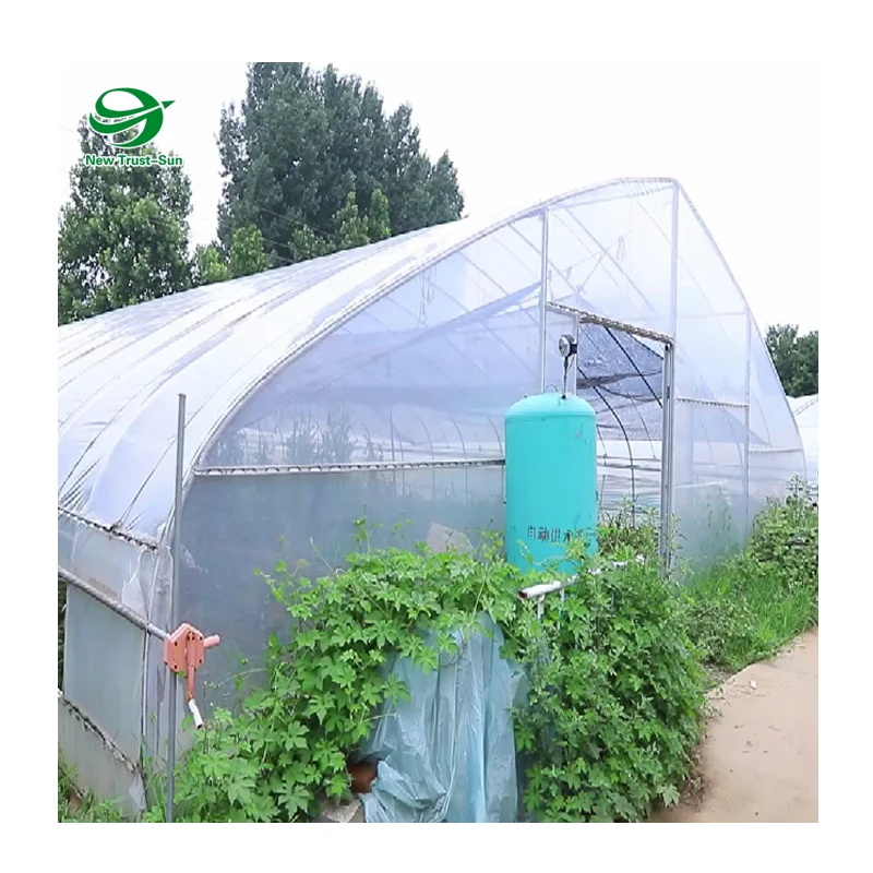 
Customized low cost plastic film poly tunnel aquaponic single span greenhouse  (62229912169)
