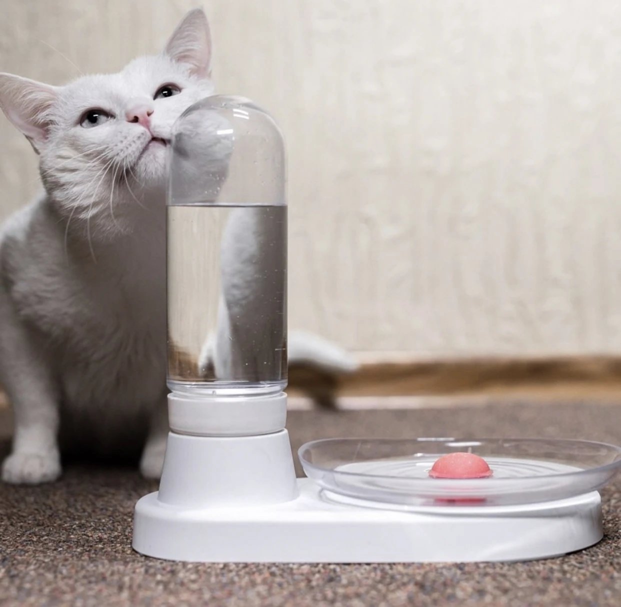 

2021 KittySpring Fountain No-Battery And Silenced Cat Water Feeder Much Better Than Pet Water Bottle And Feeder, Crystal white / emerald green