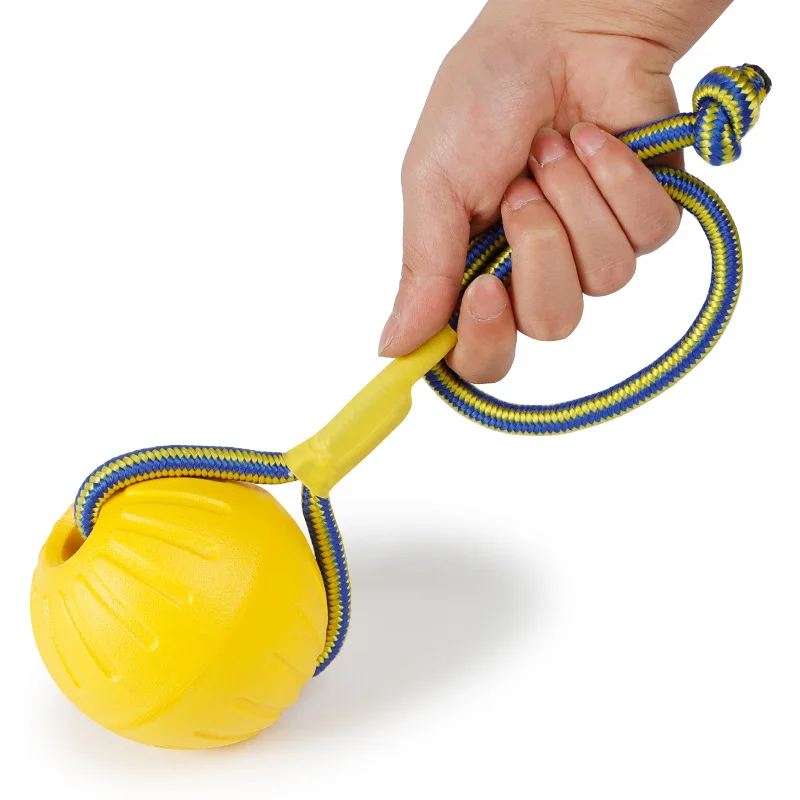 eva dog toy.jpg
