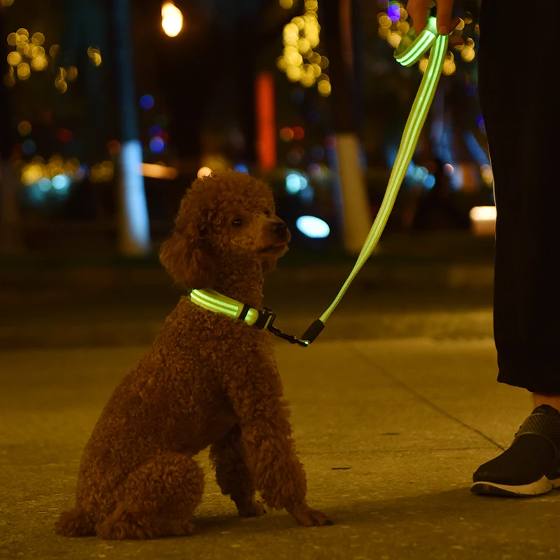 

Customize LED Charging Reflective Light Safe Smart Location GPS Tracker Pet Collar Set Dog Leashes