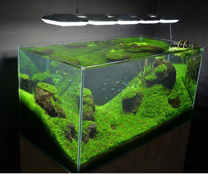 

synthetic grass supplier grass tile for garden fish tank landscape plastic lawn roller for reptiles box