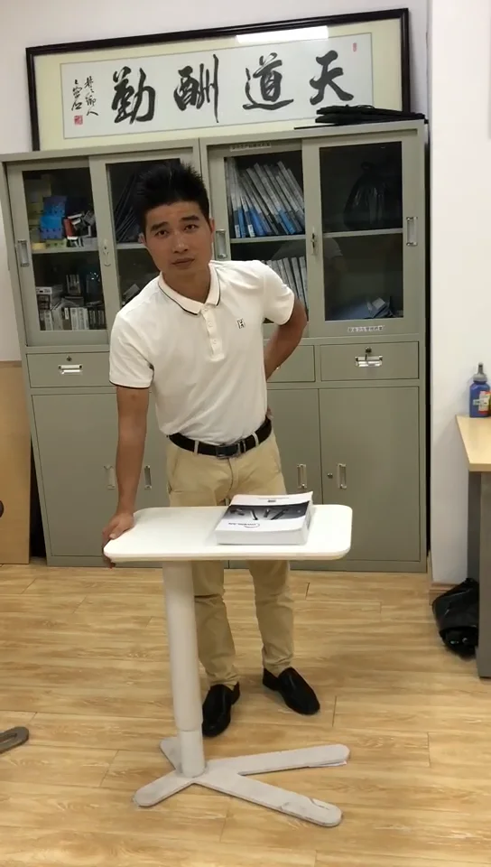 Gas Spring Controllable Tatami Table Lift Pneumatic Buy Tatami Gas