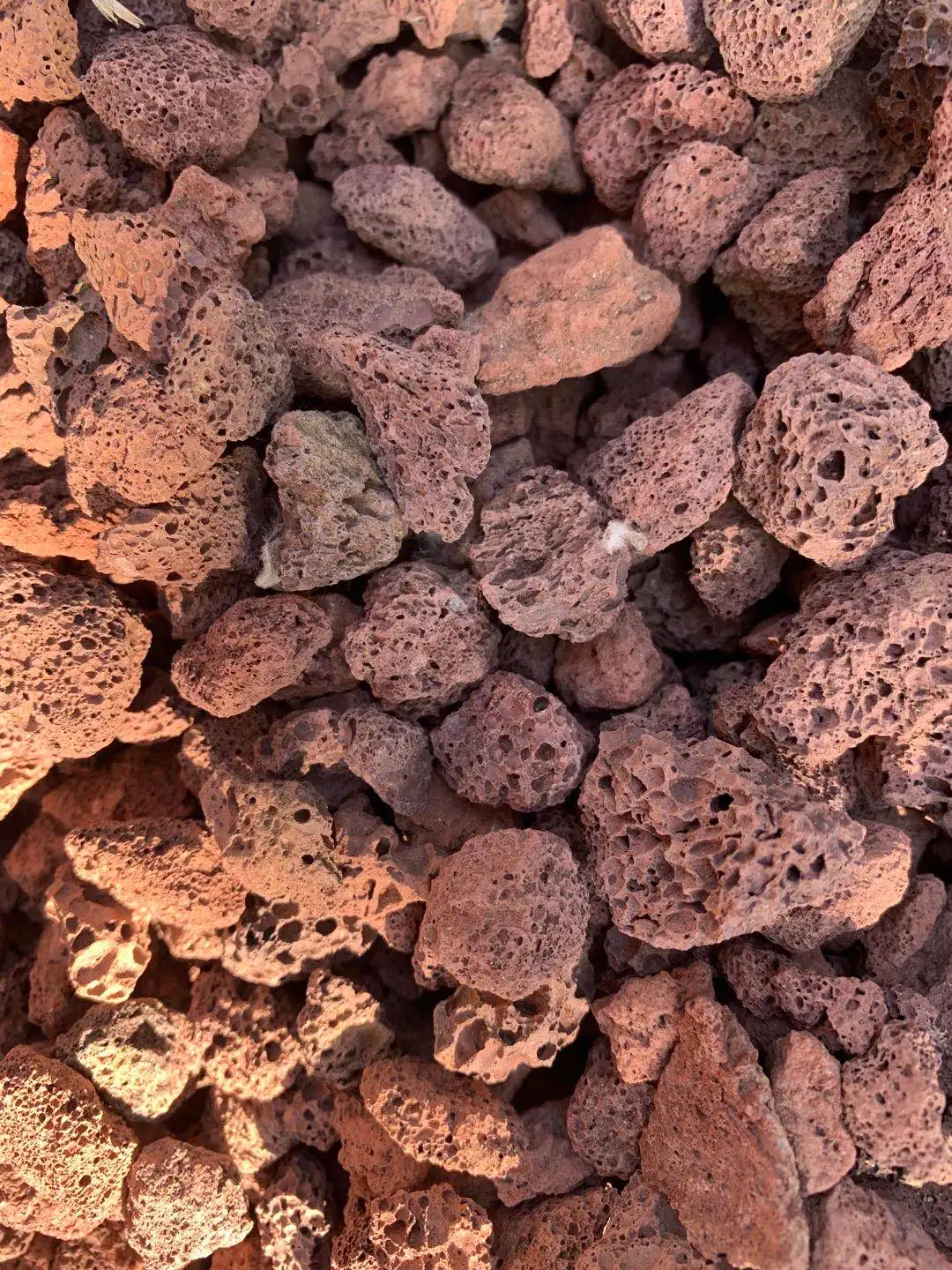 Red Lava Rock Volcanic Soil For Agriculture,Landscaping Buy Volcanic