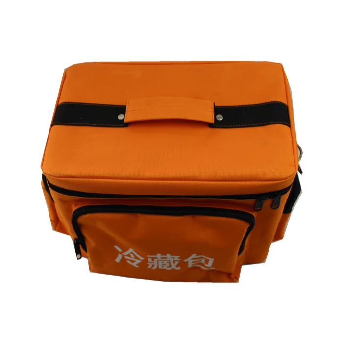 
Cold storage bag that can be carried around 