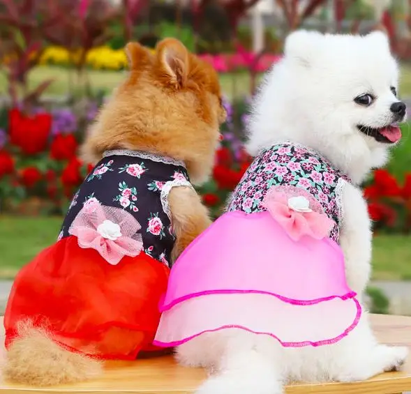 

Summer Dog Dress Wedding Dog Clothes For Small Dogs Pet Clothing Puppy Skirts Tulle Cat Dresses Yorkies Chihuahua Clothes