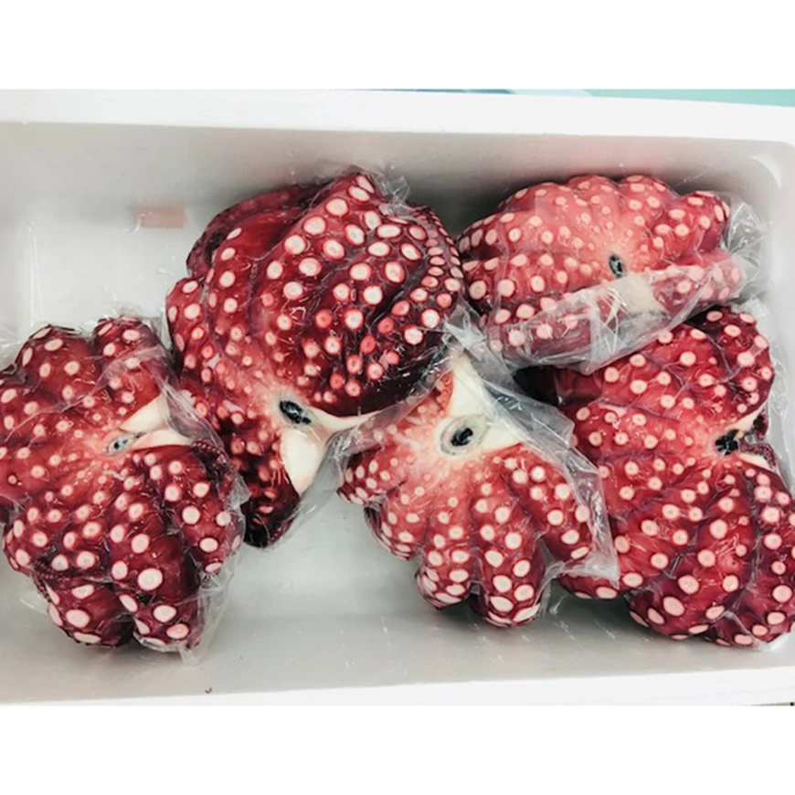 
Japan 10kg carefully steamed frozen fresh fish seafood as vinegared food 