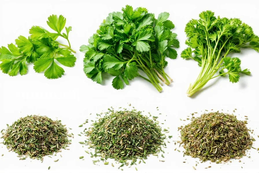Electric herb dehydrator