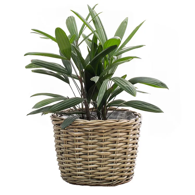 

China cheap customized willow woven rattan wicker basket flower pot garden with plastic liner, As photo or as your requirement