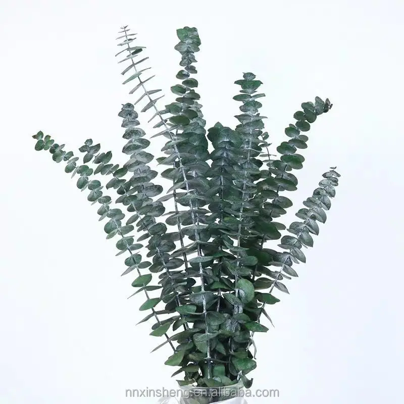 

Real plants eucalyptus stems dried flowers and plants hand made artificial eucalyptus leaves and stems 10pcs per bundle