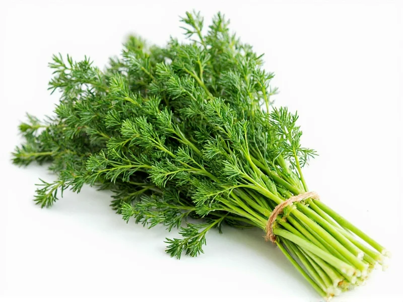 Is Dill Healthy? Science-Backed Benefits and Nutrition Facts