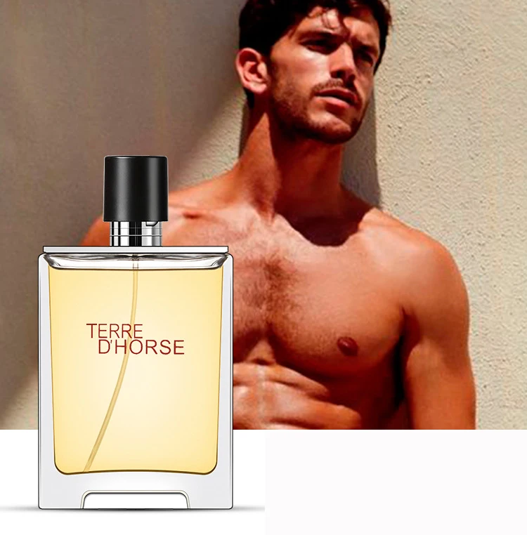 

TERRE men's fragrance 100ml long lasting fragrance woody scent neutral cologne spray English version