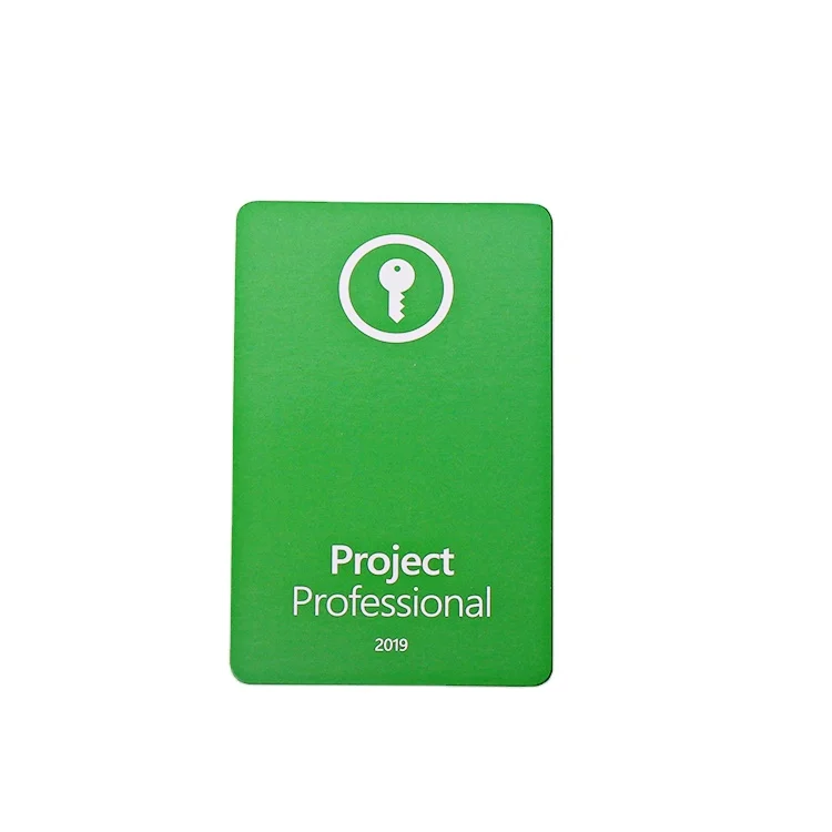 Microsoft Project 2019 profess