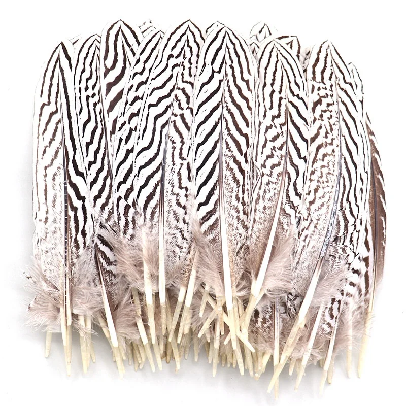 
8 10 Inch(20 25 cm)High Quality Natural Patterned Silver Pheasant Wings Feather  (60766438360)