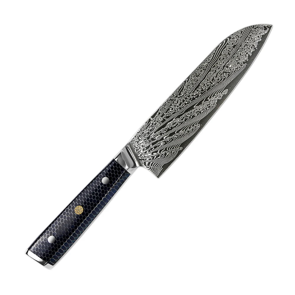 

67 Layers VG10 Damascus Steel 8 inch Chef Kitchen knives with Honey Comb Resin Handle