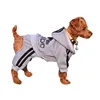 Knitted pet clothes dog fashion --China to all parts of the world freight forwarders
