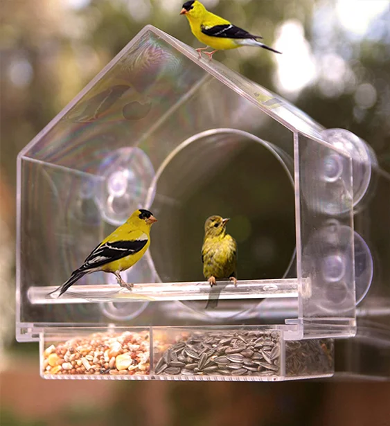 

Customized Design Not Acrylic Squirrel Proof 4 Suction Cups Window Bird House Feeder