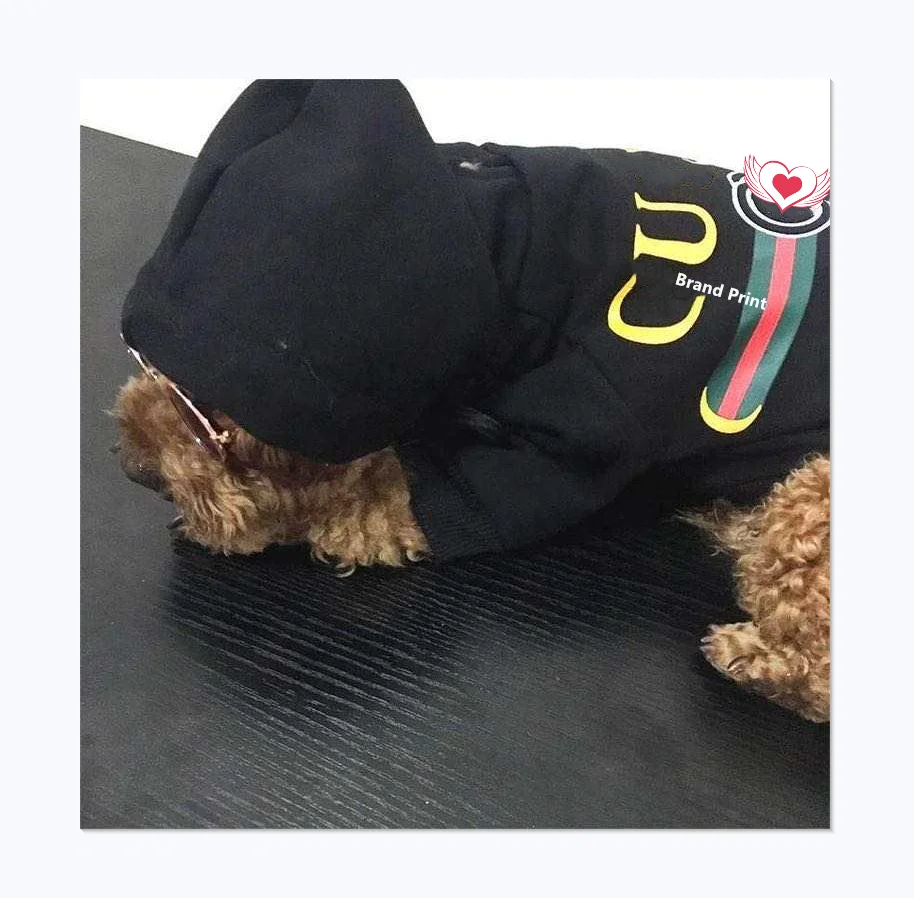 

luxury G brand xl 2xl big dog clothes cotton hoodies for dogs