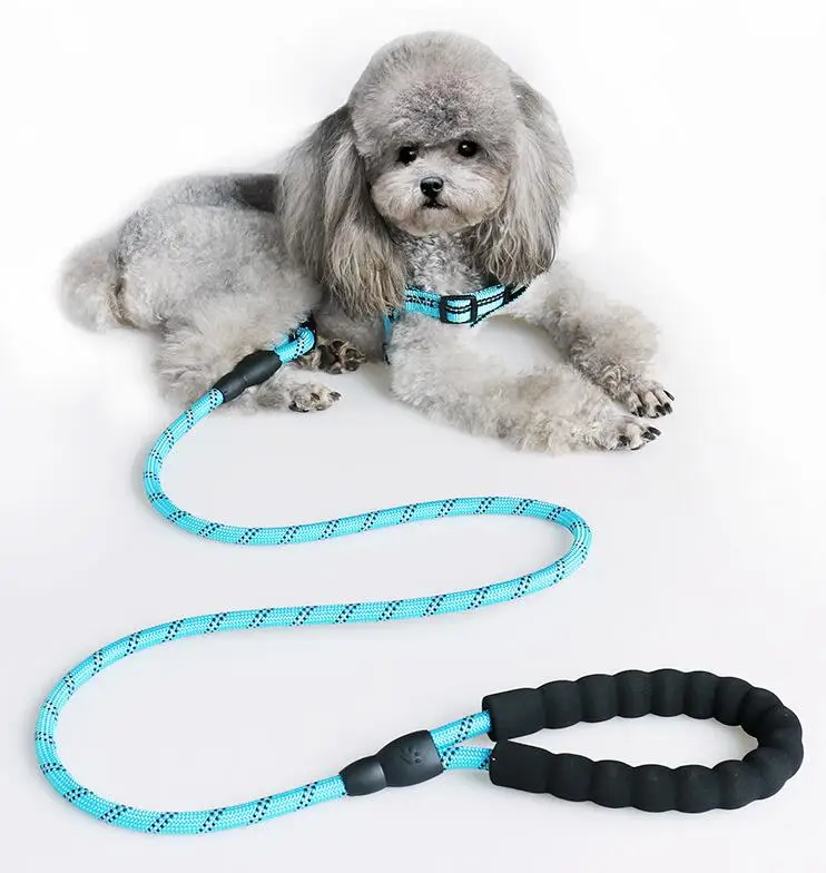

Crazy Hot Wholesale Price Dog Puppy Pet Leash Reflective Rope Low MOQ Customs Length Multi-color Dog Leash Rope, Customized color