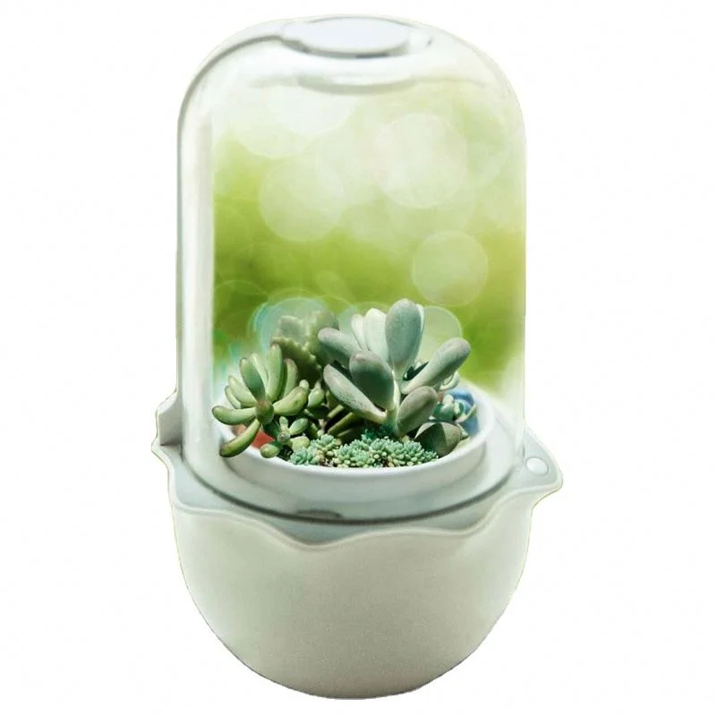 

2021 New Arrival Mini Table Plant Indoor Decoration Artificial planter Succulents pot, White
