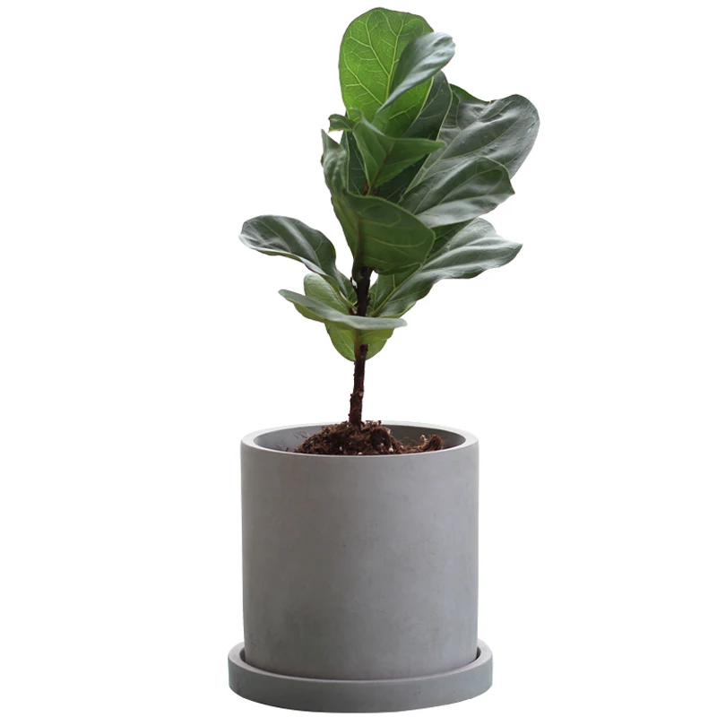 

Modern design cylinder shape concrete flower pot with saucer for home garden decor