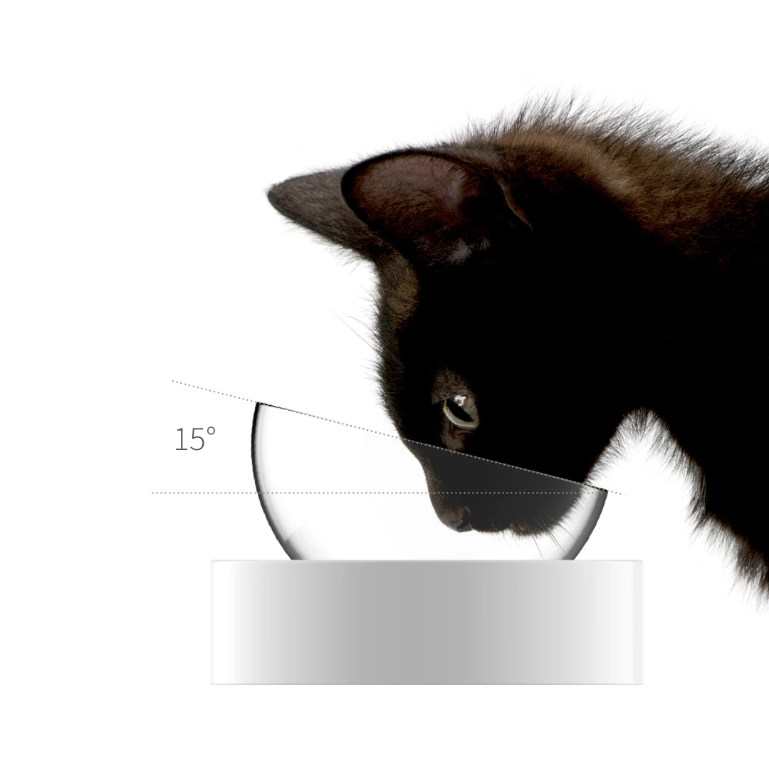 

Discount!! PETKIT NANO Adjustable 15 Degree Protect Neck Raised Transparent Pet Food Water Bowl Cat Feeding Bowl