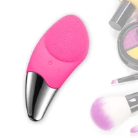 

Electric Face Cleanser and Massager Waterproof Sonic Silicone Facial Cleansing Brush