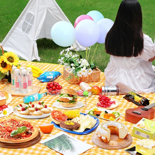 

Grid Style 150*200 Foldable Picnic Waterproof camping Mat