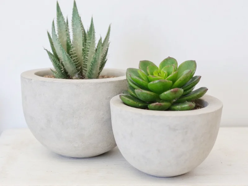 diy concrete planters