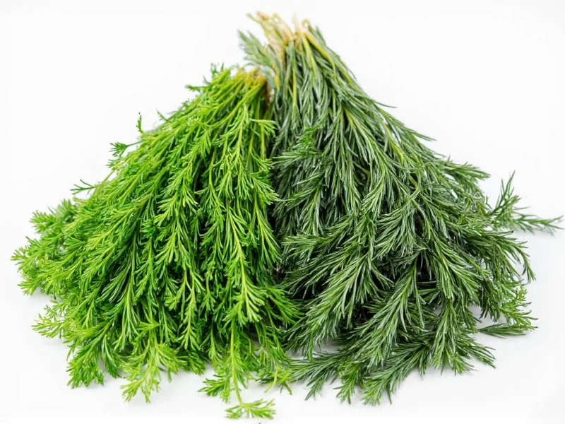 Fresh Dill to Dried Dill Ratio: Complete Conversion Guide