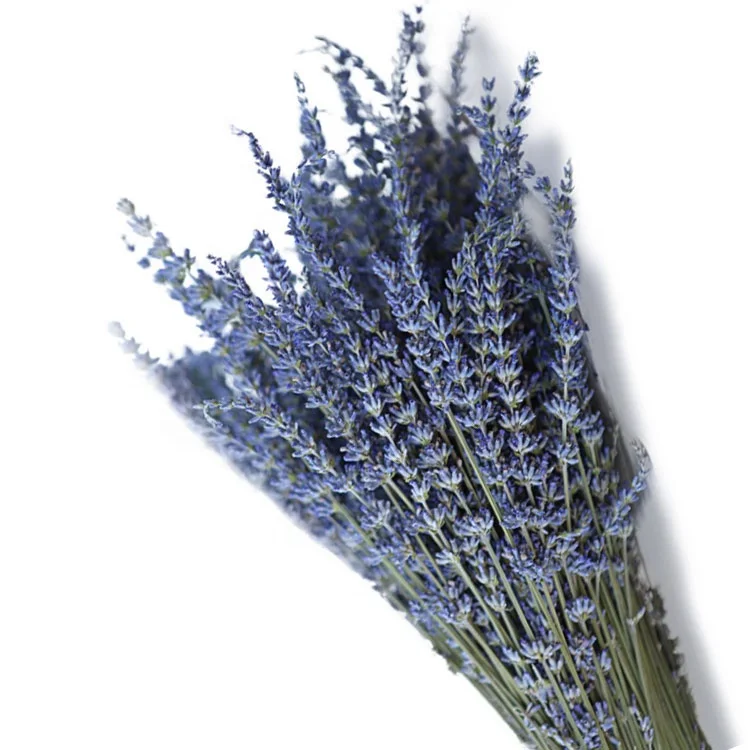

Decorative Flowers Preserved Lavender Flower Stabilized Lavender