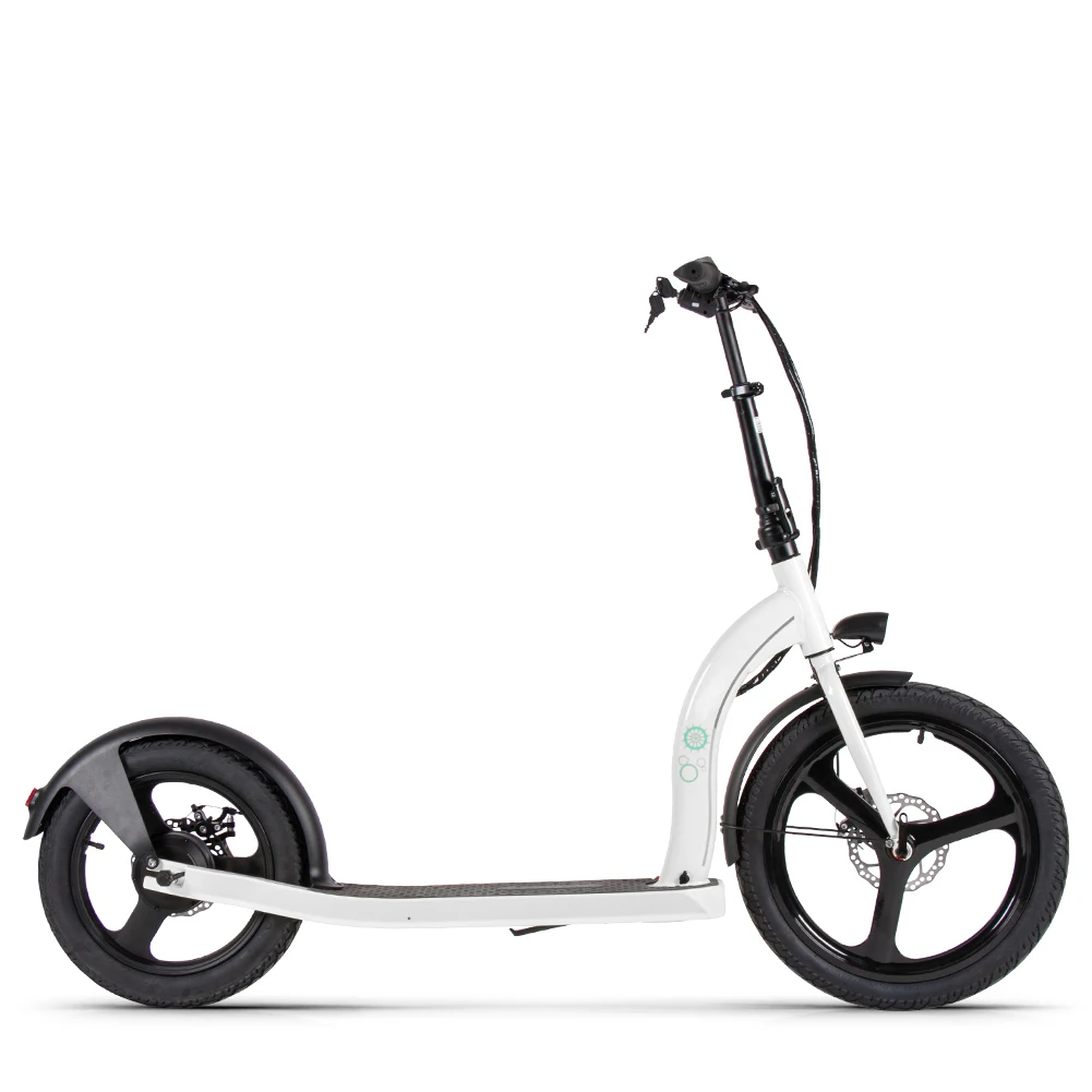 

Pro Kick Electric Foldable Scooter Adult RICH BIT H100 White 36v 250w One Integrate Motor Mobility Disc Brake Kick Scooter, Customized
