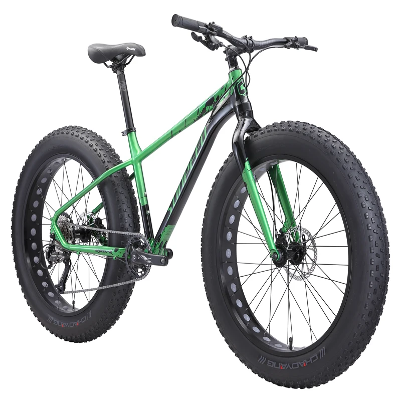 

2020 New Model 26 inch Adult 9 Speed Aluminium Frame 4.9" big tire Fat Bike