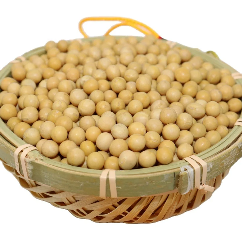 
Non-GMO High Quality and Cheap Price Soy Protein Soybean 