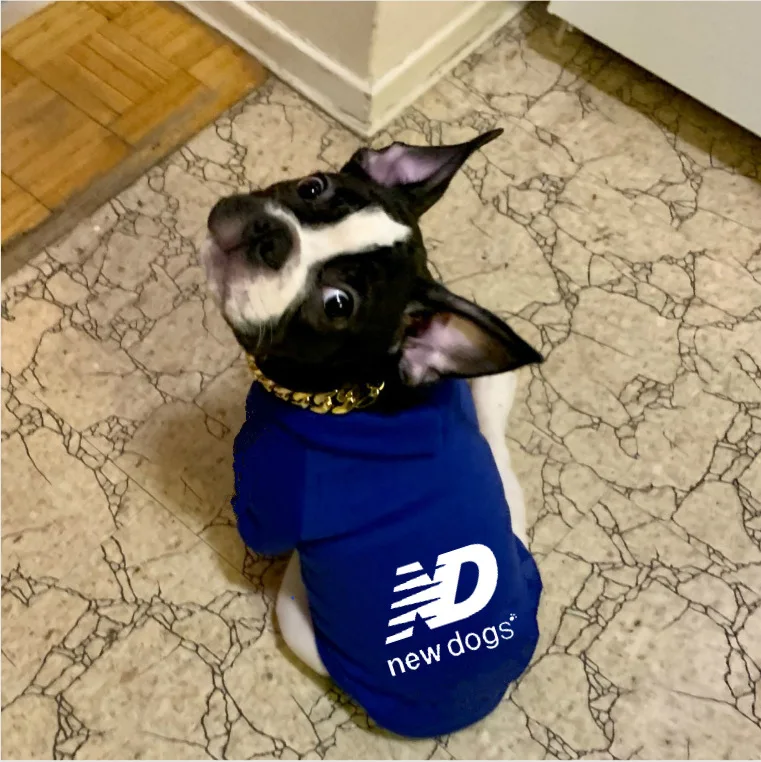 

New Custom Print Pets Clothes Best Quality Dogs Clothes Soft Pet Clothes For Small Dogs Cats, As picture