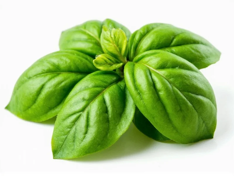 1/2 Cup Fresh Basil Equals 2-3 Tbsp Dried: Conversion Guide