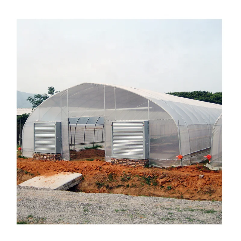 
low cost Conveniently polytunnel greenhouse with Excellent strength for agriculture 