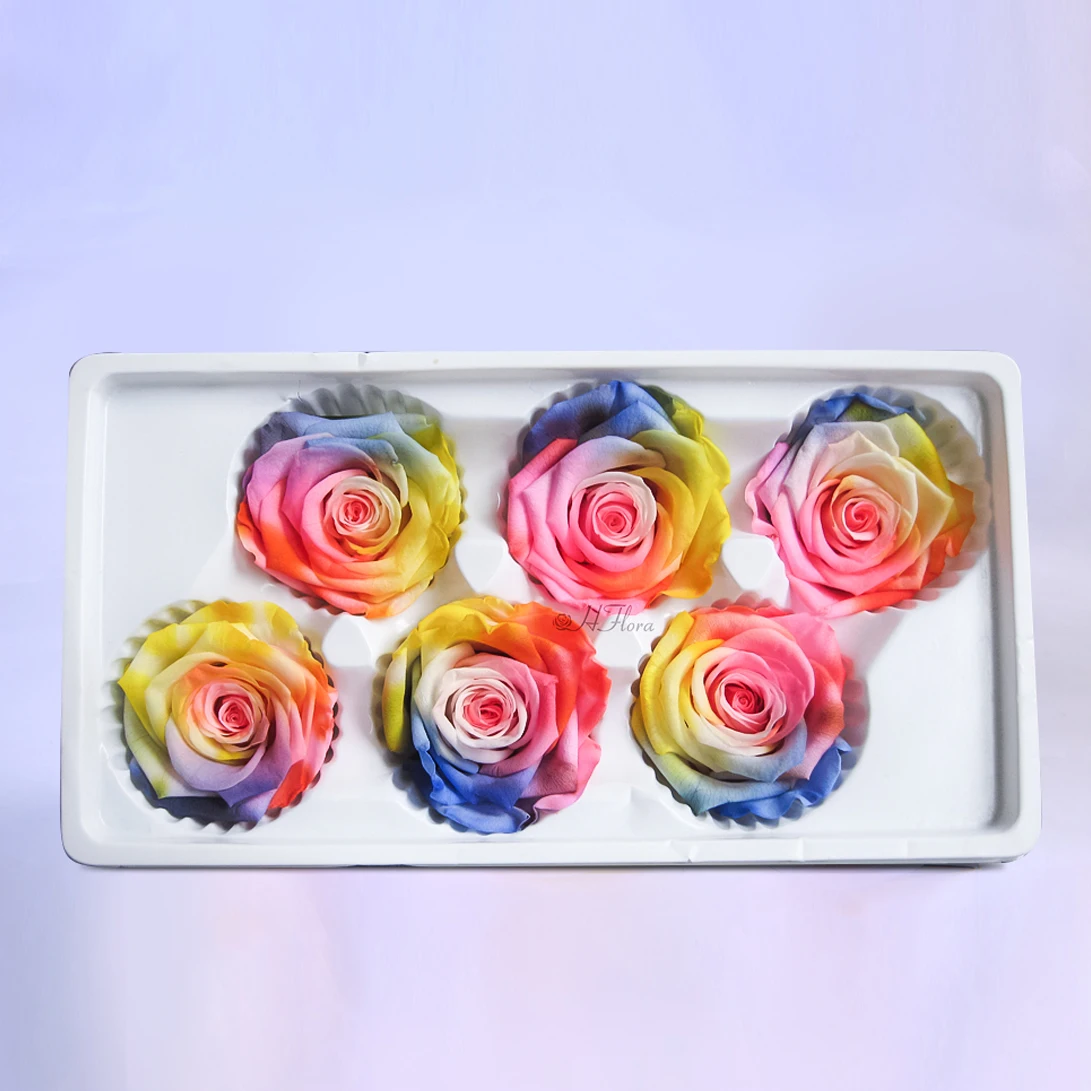

HFloral 5-6 cm 6 pcs /box Rainbow Forever Eternal Everlasting Preserved Natural Dried Rose Flower Head