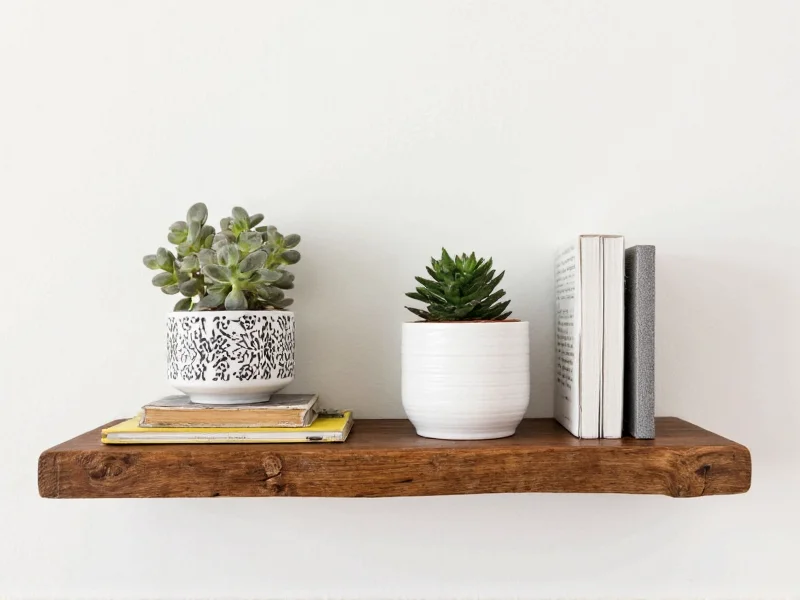 Reclaimed wood shelf holding books and succulents against white wall